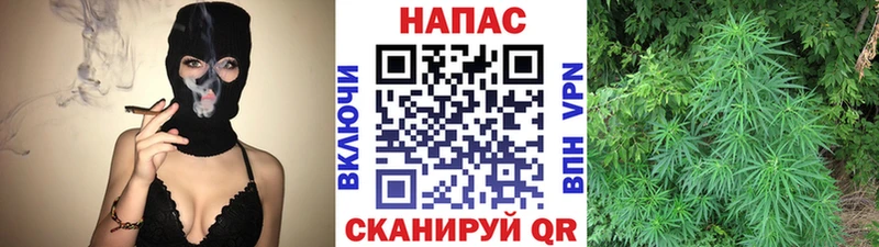 Цена Болгар Бошки Шишки  Alpha PVP  Гашиш 