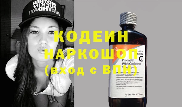 гашик Арсеньев