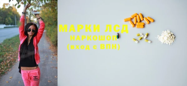 гашик Арсеньев