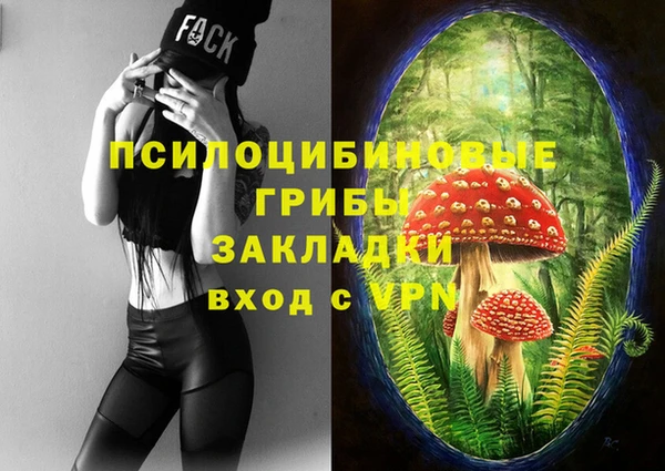 винт Аркадак