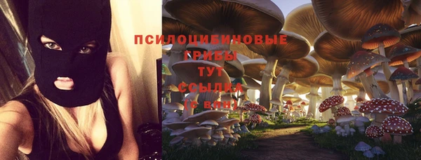 гашик Арсеньев
