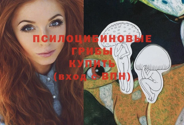 ALPHA-PVP Армянск