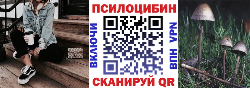 купить  цена  Болгар  Псилоцибиновые грибы GOLDEN TEACHER 